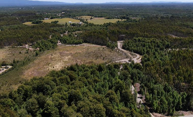 PARCELA CON BOSQUE EN DALCAHUE, A 20 MIN DEL AEROPUERTO