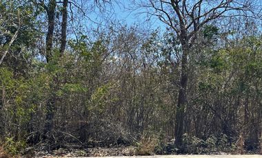 Terreno en Venta en Yucatan Country Club