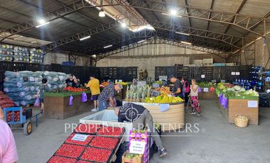 Terreno Comercial e Industrial Inofensivo con Galpón en Arriendo - Av. Lo Espejo, La Cisterna | 3.750 mt2