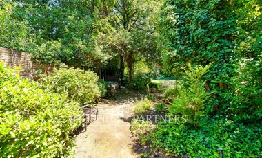 Casa estilo colonial, Norte y con gran terreno, San Damián