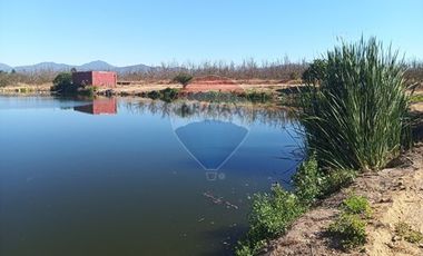 Parcelas en M. Pinto, a 20 min de Melipilla.