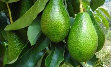 EN VENTA /Casa 3 DORMITORIOS / Villaseca Oriente