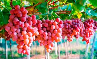 EN VENTA /Casa 3 DORMITORIOS / Villaseca Oriente