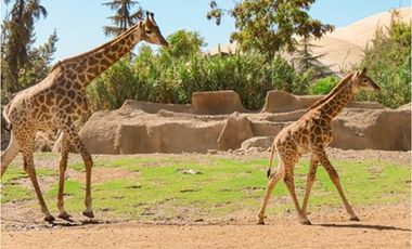 EN VENTA /Casa 3 DORMITORIOS / Villaseca Oriente