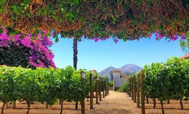 EN VENTA /Casa 3 DORMITORIOS / Villaseca Oriente