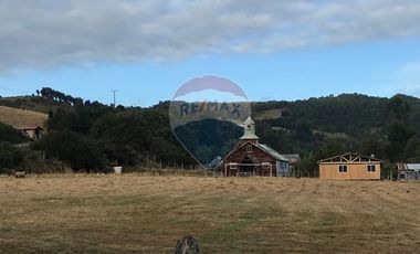 Excelente Terreno Nativo para desarrollo turístico