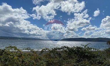 Excelente Terreno Nativo para desarrollo turístico