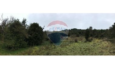 Excelente Terreno Nativo para desarrollo turístico