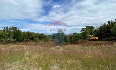 Excelente Terreno Nativo para desarrollo turístico