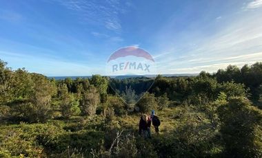 Excelente Terreno Nativo para desarrollo turístico