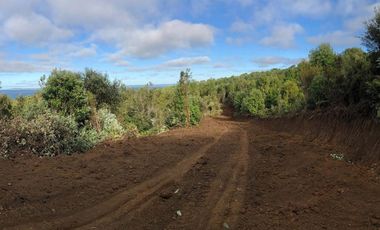 Excelente Terreno Nativo para desarrollo turístico