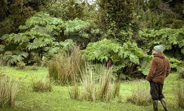 Excelente Terreno Nativo para desarrollo turístico