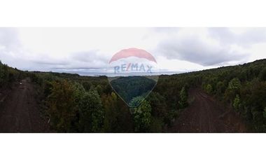 Excelente Terreno Nativo para desarrollo turístico