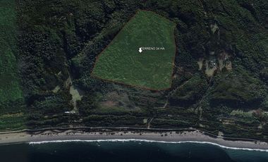 Excelente Terreno Nativo para desarrollo turístico