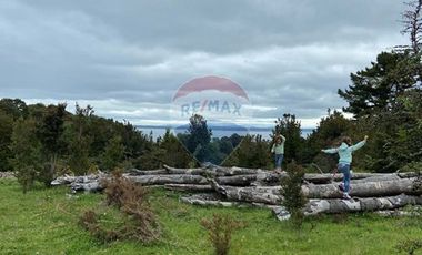 Excelente Terreno Nativo para desarrollo turístico