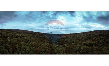 Excelente Terreno Nativo para desarrollo turístico