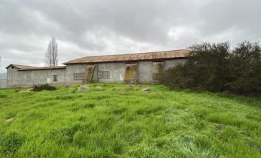 PAN DE AZUCAR