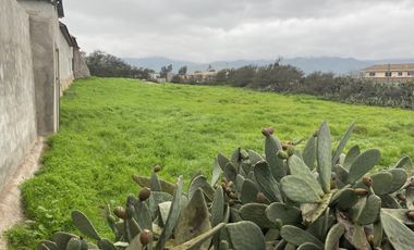 PAN DE AZUCAR