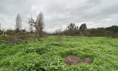 PAN DE AZUCAR