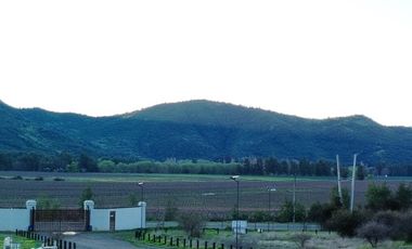 VIÑA MONTGRAS, PALMILLA