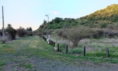 VIÑA MONTGRAS, PALMILLA