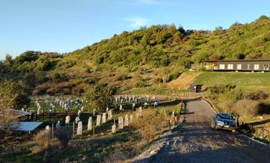 VIÑA MONTGRAS, PALMILLA
