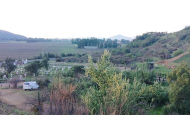 VIÑA MONTGRAS, PALMILLA