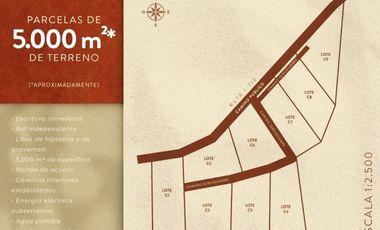 VIÑA MONTGRAS, PALMILLA