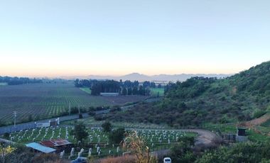 VIÑA MONTGRAS, PALMILLA