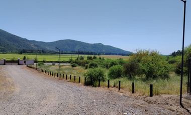 VIÑA MONTGRAS, PALMILLA