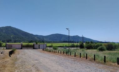 VIÑA MONTGRAS, PALMILLA