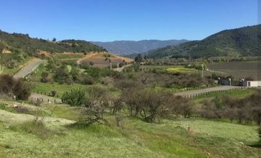 VIÑA MONTGRAS, PALMILLA