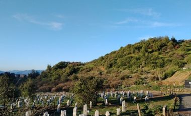 VIÑA MONTGRAS, PALMILLA