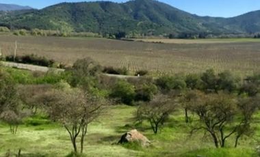 VIÑA MONTGRAS, PALMILLA