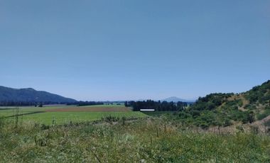 VIÑA MONTGRAS, PALMILLA