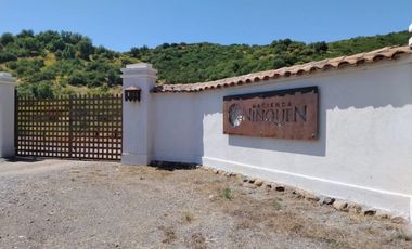 VIÑA MONTGRAS, PALMILLA