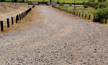 VIÑA MONTGRAS, PALMILLA