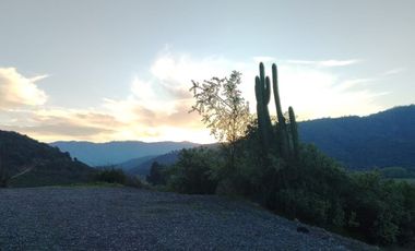 VIÑA MONTGRAS, PALMILLA