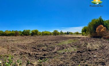 Terreno en Longchamps