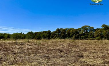 Terreno - Longchamps