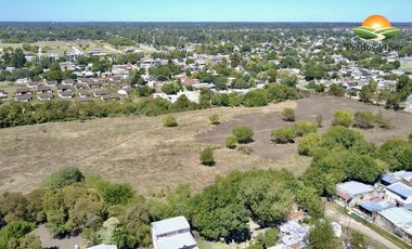 Terreno - Longchamps