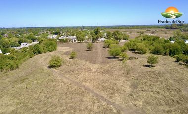 Terreno - Longchamps
