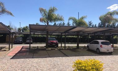 Oficina - Bahia Grande