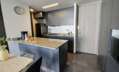 Departamento en Chapultepec y Niños Heroes