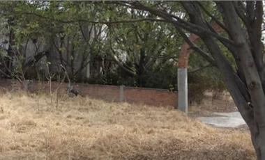 Bodega con Terreno en Venta - 20,000 m2