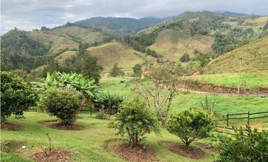 Venta de Finca El Retiro, independiente, a 4km del parque, pesebreras