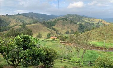 Venta de Finca El Retiro, independiente, a 4km del parque, pesebreras