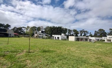 VENTA GRAN LOTE EN RUMENCO JOVEN