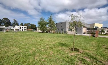 VENTA GRAN LOTE EN RUMENCO JOVEN