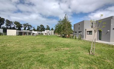 VENTA GRAN LOTE EN RUMENCO JOVEN